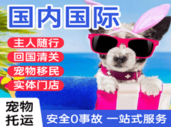 奇台江机场物流国际宠物托运 【国